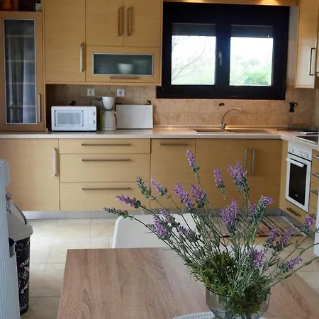 Thea Sea View Detached Villa, * ニキティ