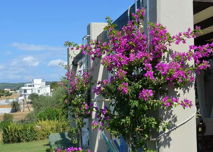 Thea Sea View Private Pool Villa,